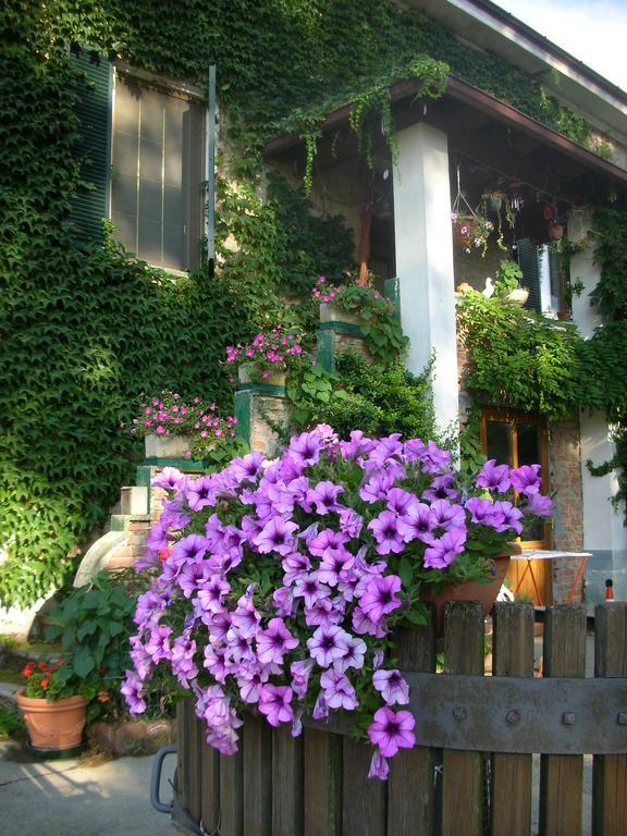 Вилла Cascina Beneficio Кастельнуово-Бормида Экстерьер фото